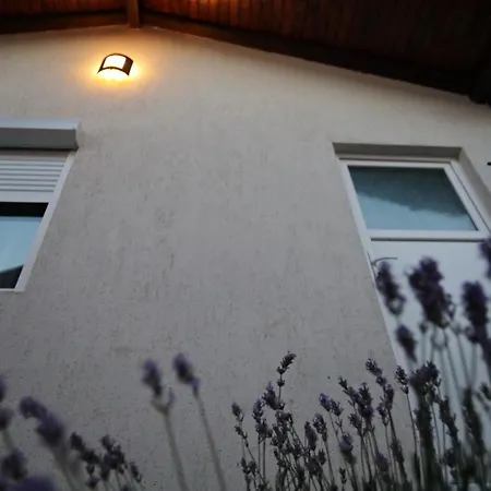 La Casute Tasaul Villa Navodari Exterior photo